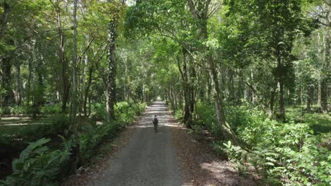 young man cycling through a path in a forest