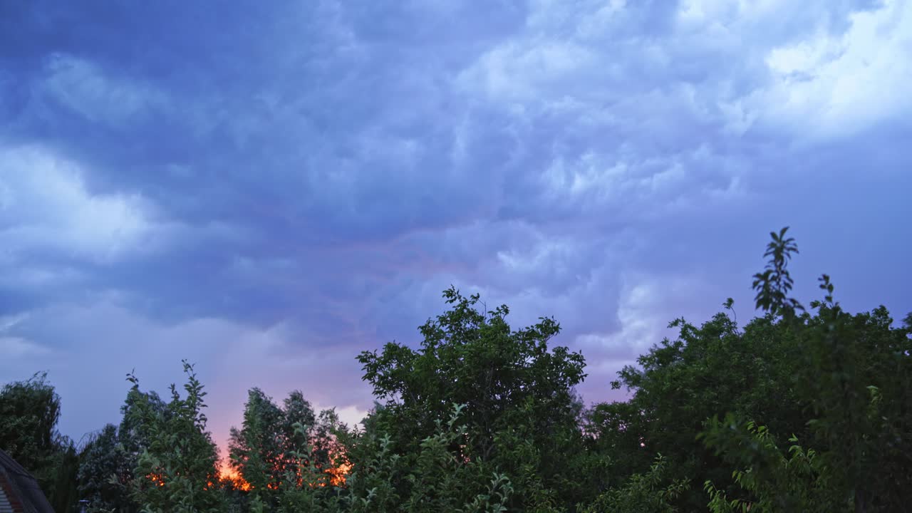 Wind shakes green trees before the rain outdoors. Lightning sparkles in the sky with many clouds under the tops of trees in the evening.