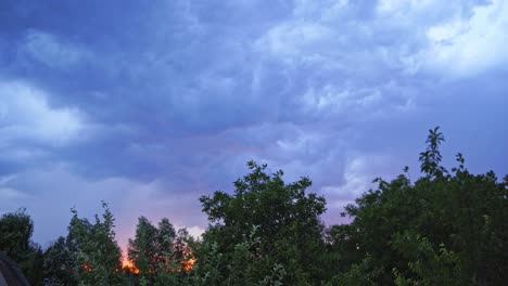 wind shakes green trees before the rain outdoors. lightning sparkles in the sky with many clouds under the tops of trees in the evening.