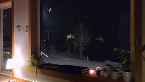 peaceful march snowfall viewed from inside as plants and candles warm the scene