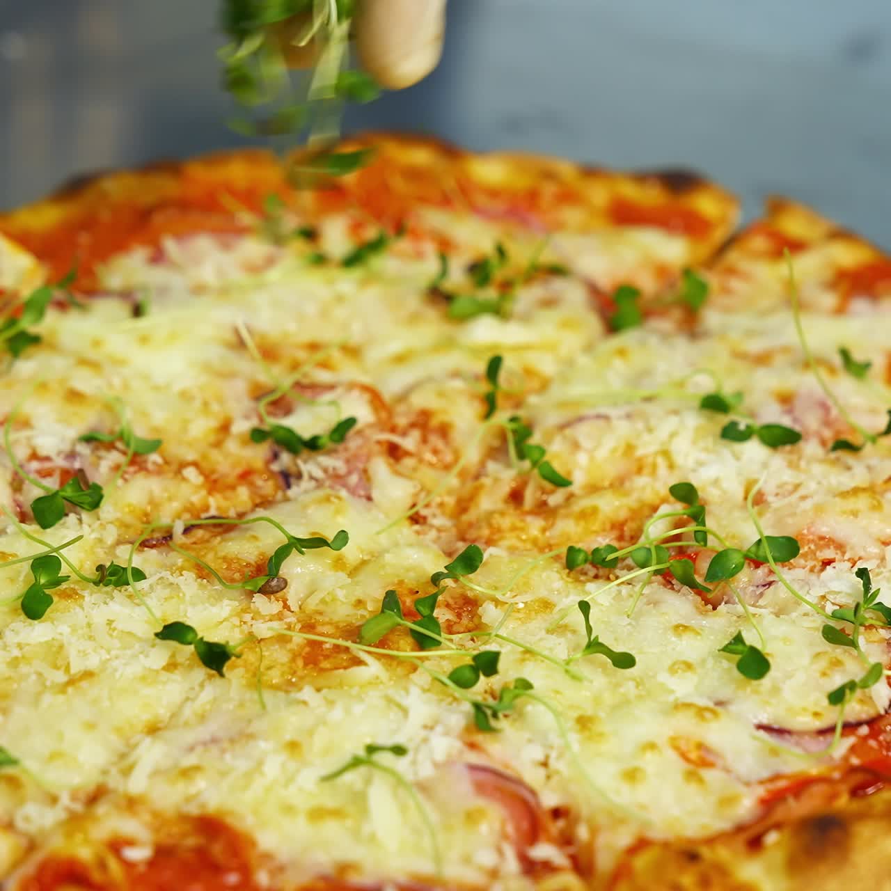 Cook decorates ready pizza. Chef's hand in glove is sprinking fresh green sprouts on a baked pizza in a restaurant. Close-up