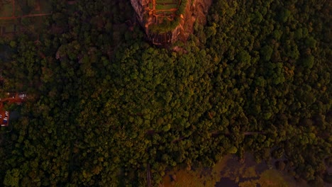 a peaceful sunrise vertical drone shot of sigiriya rock rising above the dense sri lankan jungle, with a calm lake reflecting the first light of day.