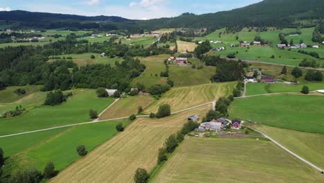 countryside farmland at hillside in byrkjelo norway - summer day aerial view