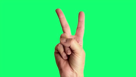 close up shot of a male hand throwing a classic peace sign, against a greenscreen background ideal for chroma keying