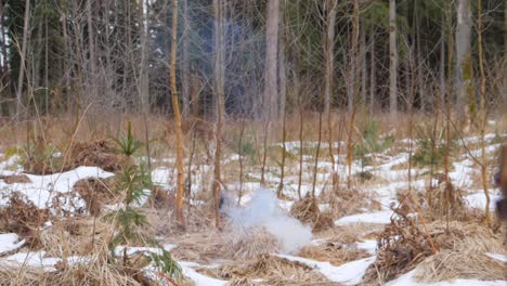 slowmotion snow explosion and it's snowing afterwards