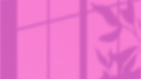 animation of leaf pattern with copy space on pink background