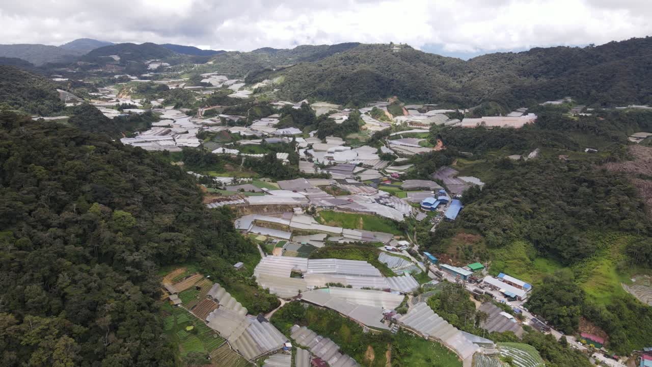 말레이시아의 카메론 하이랜드 지역 내의 브린창 지역의 일반 풍경