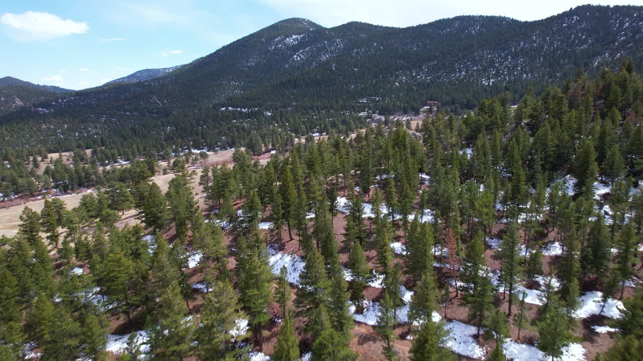 llanuras de colorado, montañas y árboles