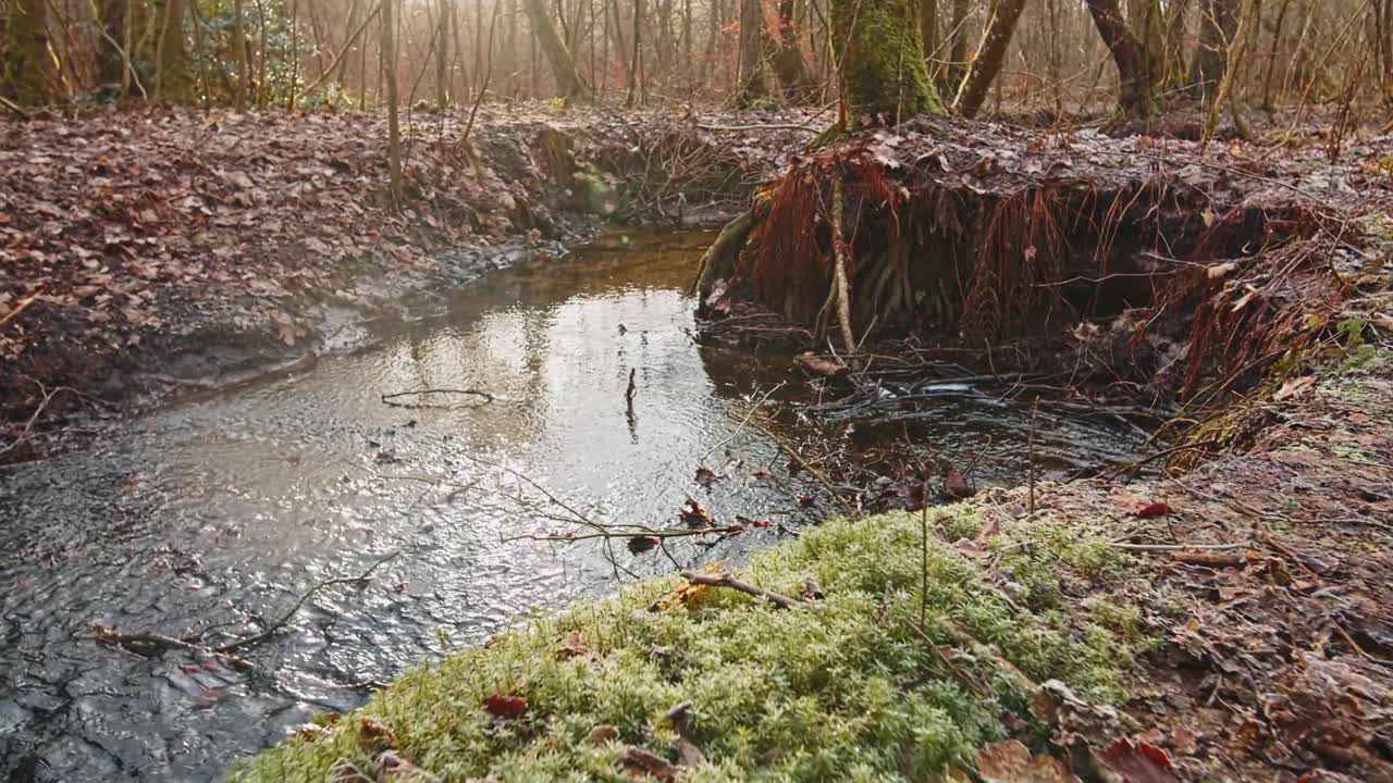 el río en el bosque de otoño y el sol brillando a través del follaje