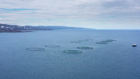 aerial footage farm salmon fishing in norway