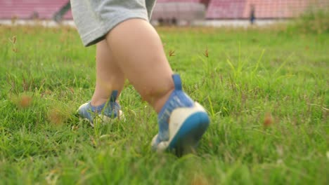 little legs walking on the grass