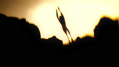woman silhouetted at sunrise/sunset on rocks
