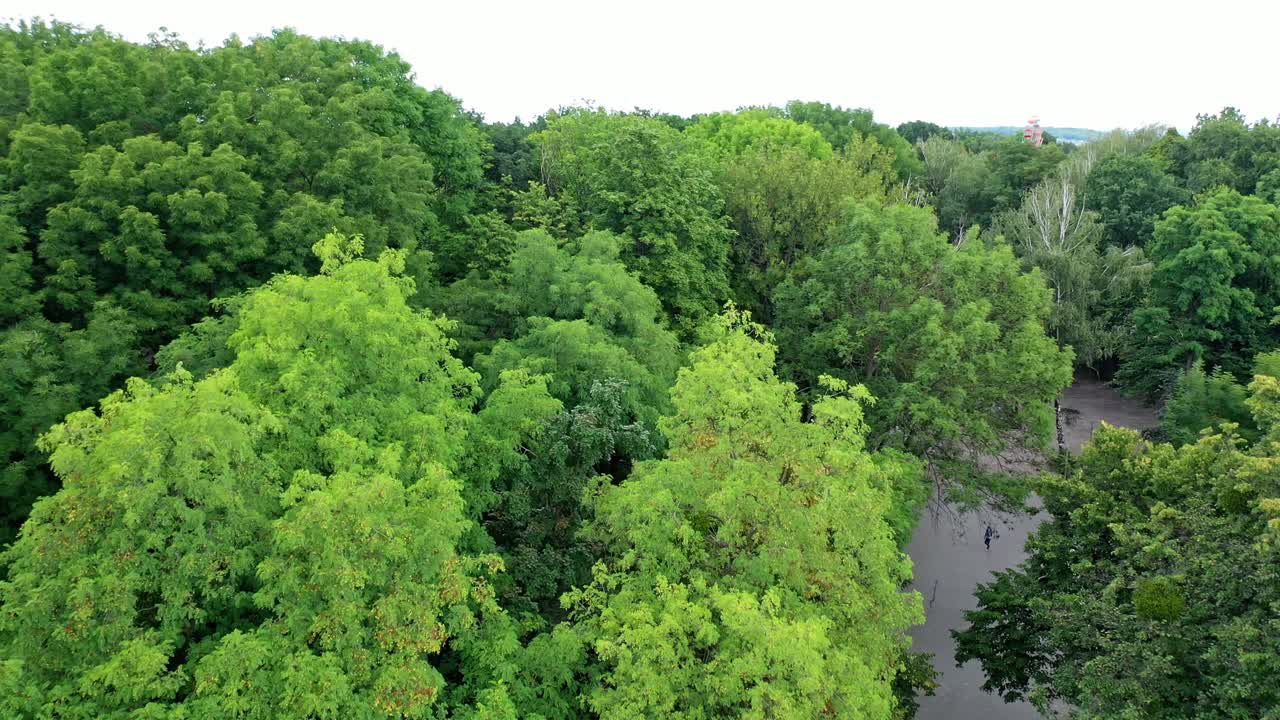 Aerial Cityscape View. Amazing view of green park and cityscape