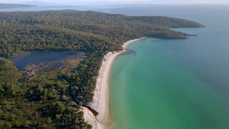 botanical creek and cooks beach at freycinet national park in tasmania, australia