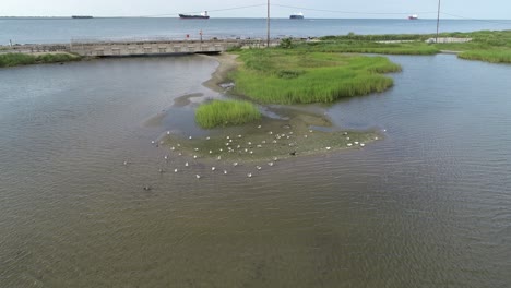 este es un video aéreo sobre la reserva de la laguna del extremo este