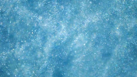 elegante, detallado y delicioso bokeh y partículas visuales con poca profundidad de campo bajo el agua