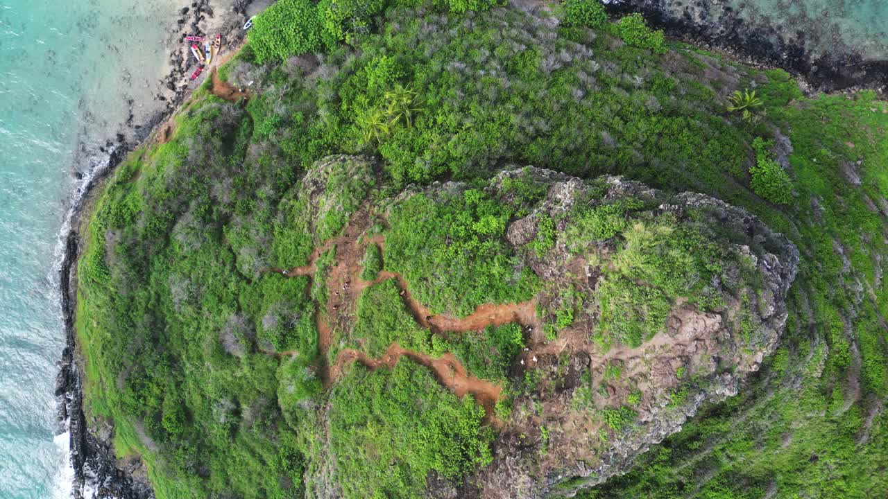 중국인의 모자, 모콜리, 안하세요