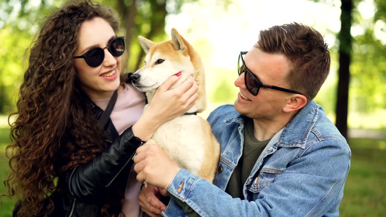 자랑스러운 개 소유자: 예쁜 소녀와 잘생긴 남자가 shiba inu 개와 놀고, 키스하고, 털을 고, 주말에 공원에서 휴식을 취하고 있습니다.