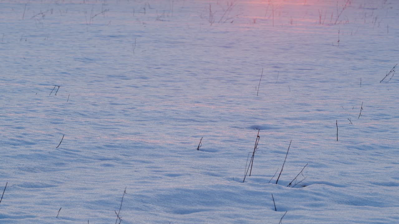 해가 지는 광선은 겨울에 에 있는 눈에서 반사됩니다.