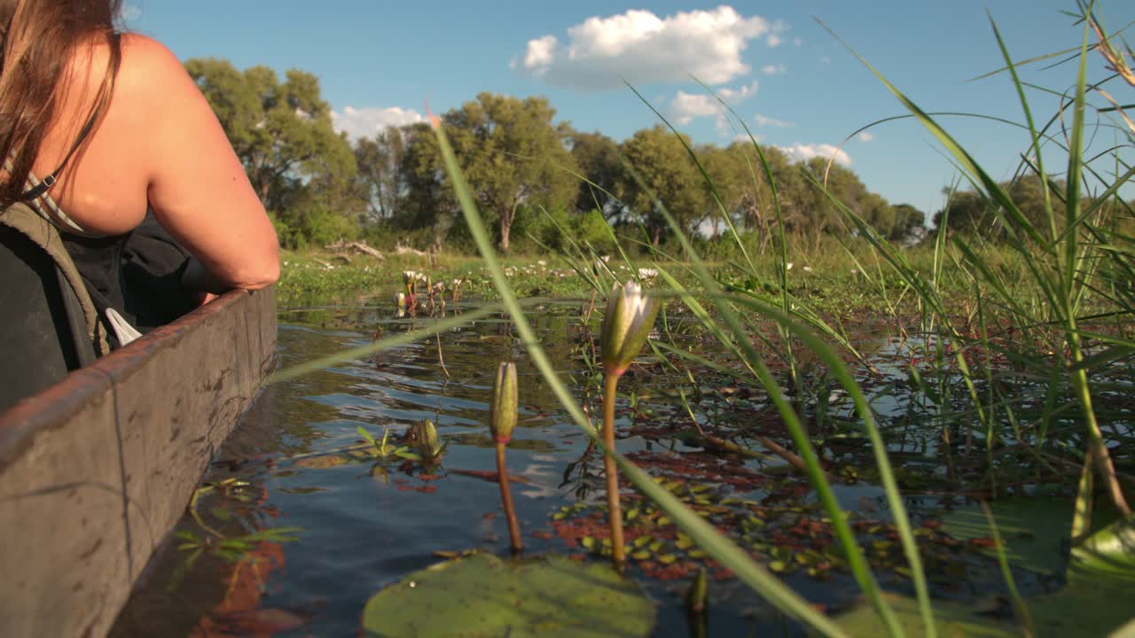 un barco que se mueve lentamente sobre un río con lirios