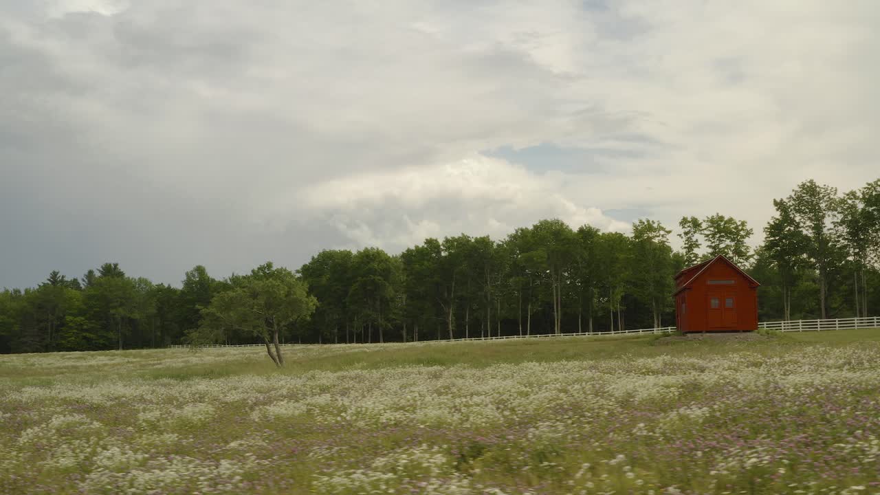외로운 나무와 오두막은 휴경지, 궤도 공중의 야생화 사이에 서 있습니다.