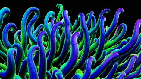 vibrant 3d render of a sea anemone