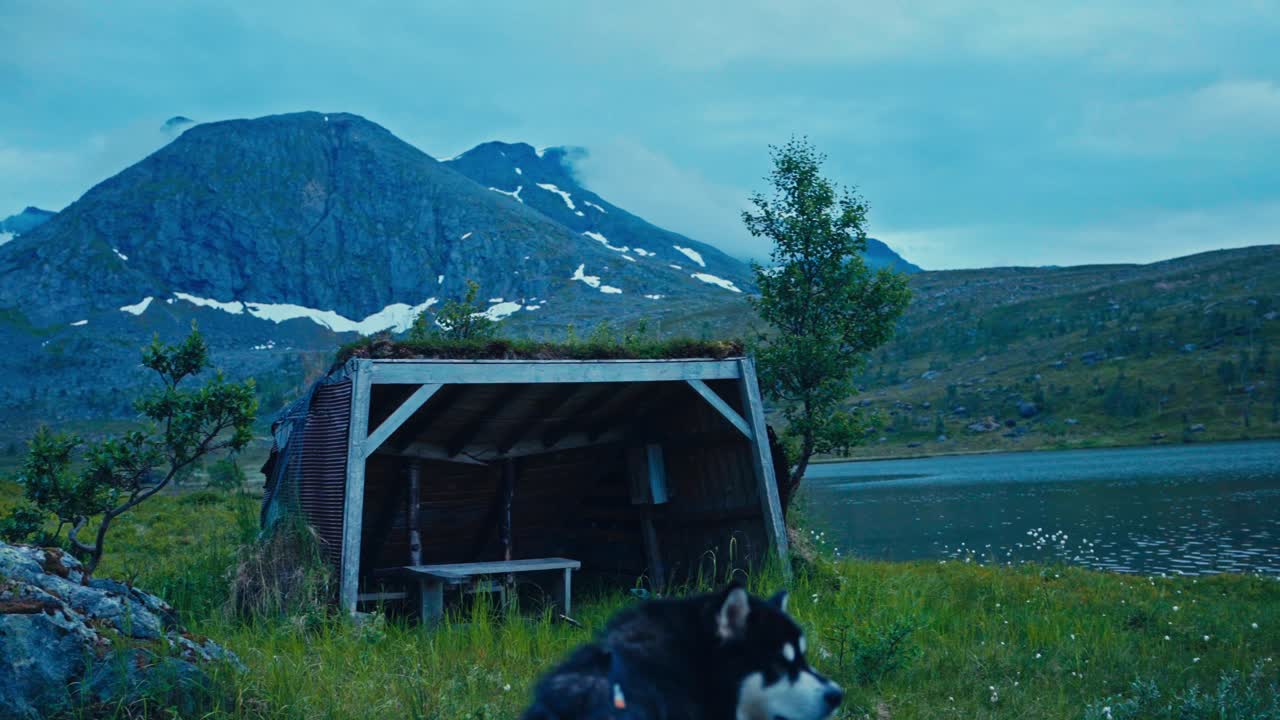 Um cão está em frente a um abrigo à beira da trilha junto ao lago em SørTverrfjord, Loppa, Finnmark, Noruega - Imagem com câmera na mão.
