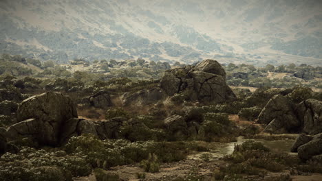 rocky landscape with sparse vegetation and dramatic sky