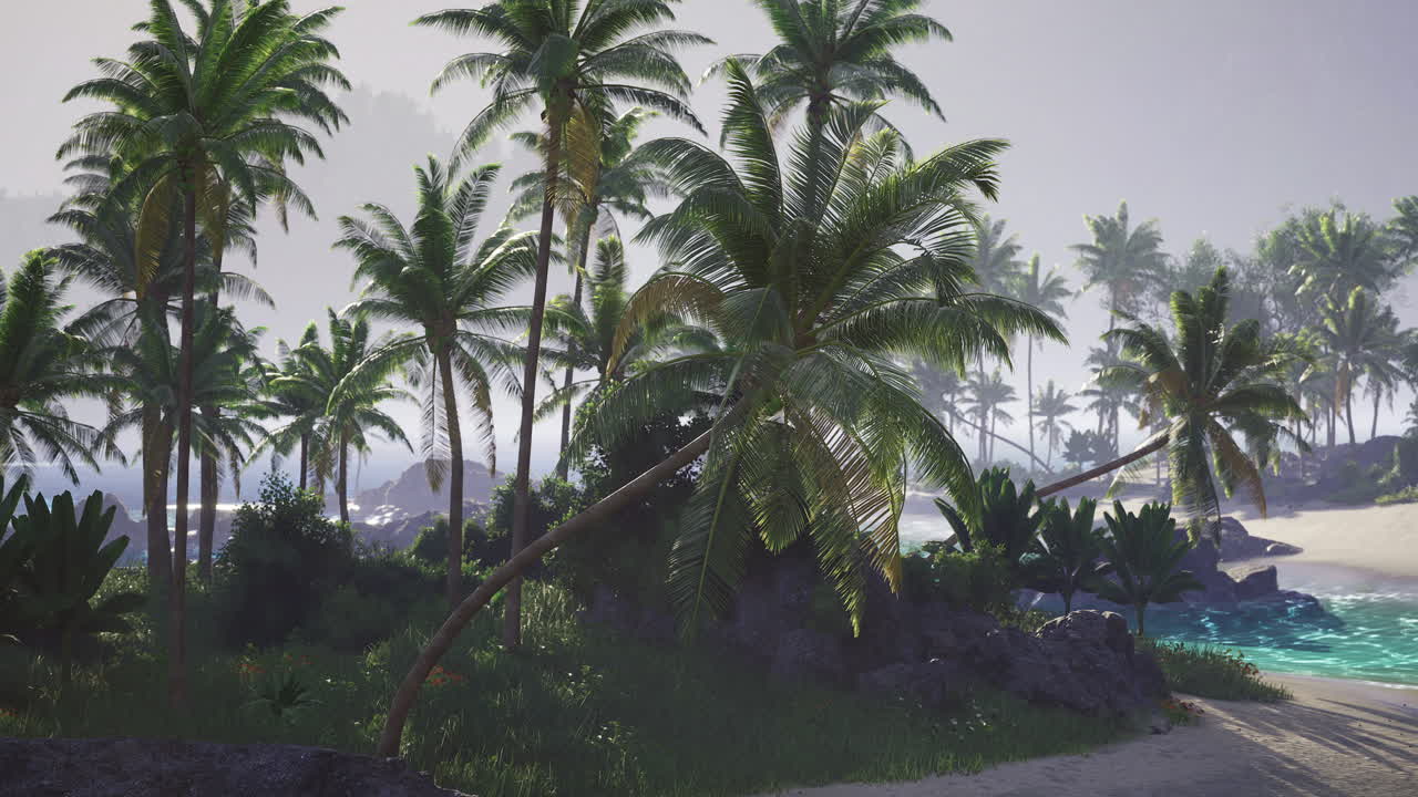 Lush palm trees swaying gently by the tranquil beach at dawn