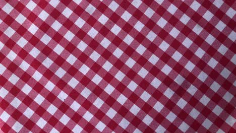 red and white checkerboard tablecloth