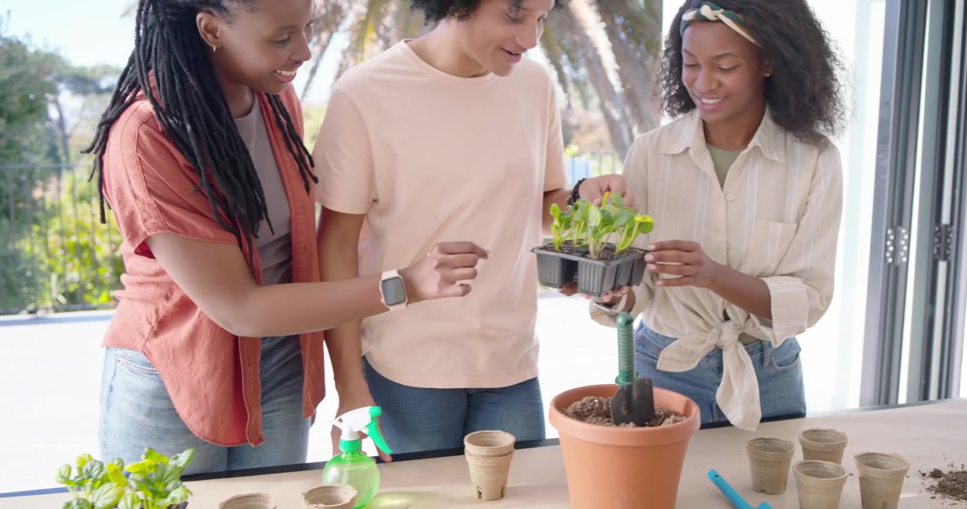 African American friends inspecting seed tray, passing plants and potting seedlings on balcony