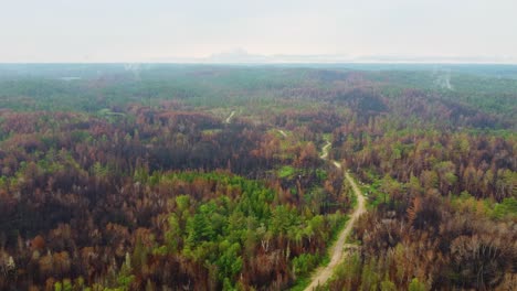 Green-forest-covered-with-patches-blackened-trees,-smoke-in-background