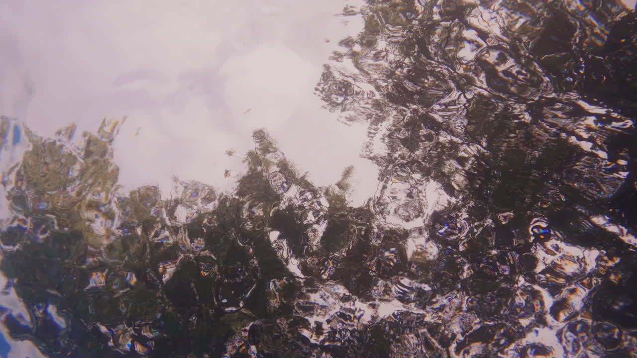 disparo cinematográfico en cámara lenta de agua cáustica con árboles que se reflejan en la superficie del agua, 4k, 120 fps, slomo