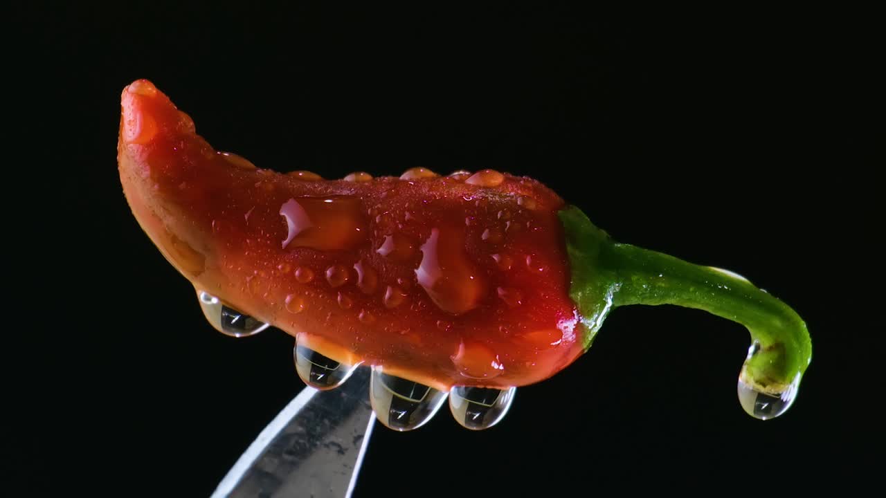 ⁇ 리 페퍼 포트의 매크로 회전은 신선한 모습, 검은 바탕에 뿌린 물방울과 함께 칼에  ⁇ 려 있습니다.