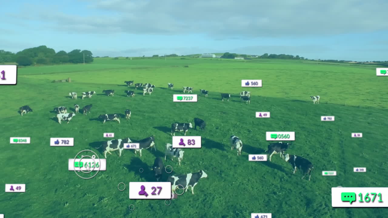 Holstein cows grazing across pasture with floating AR icons displaying social metrics in 3D style