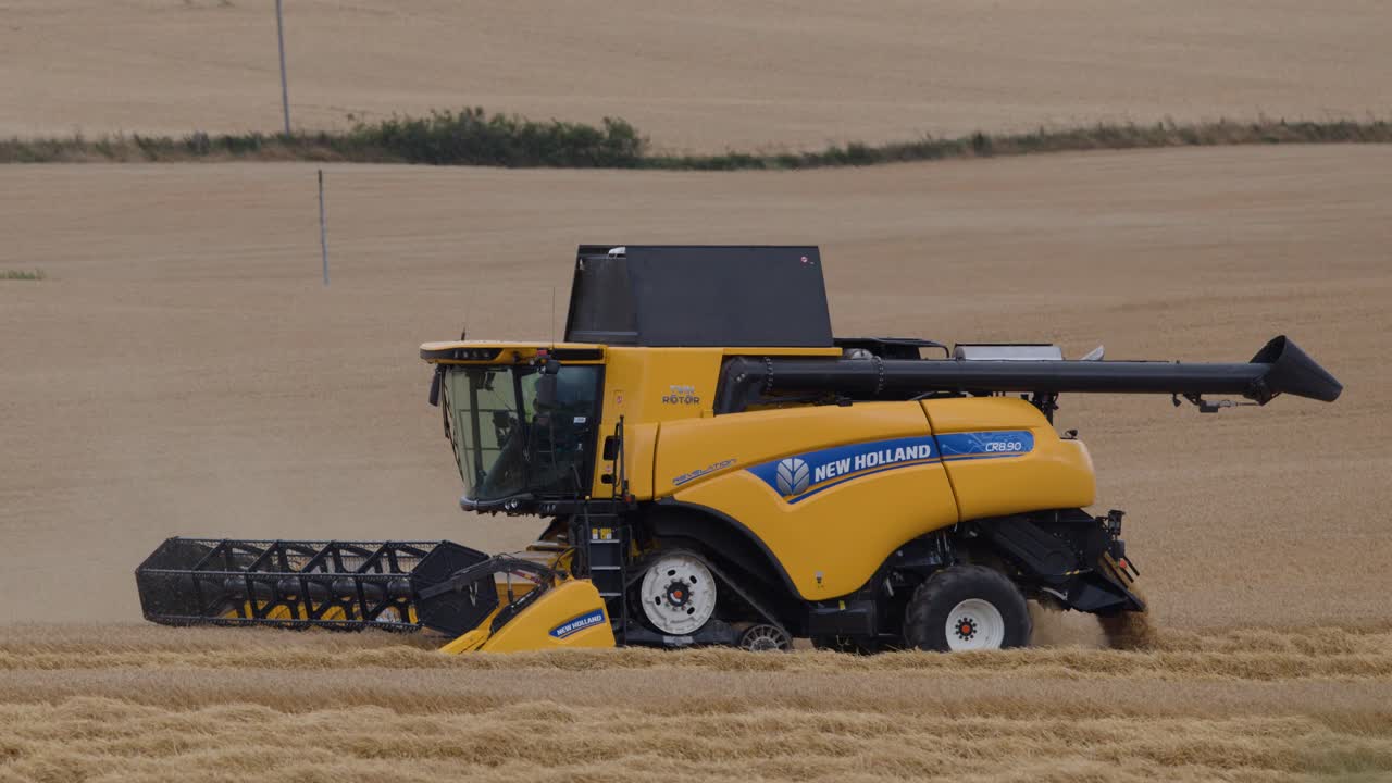Yellow combine harvester harvesting barley in daylight, wide shot, steady camera, rural landscape