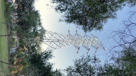 Tall-high-power-electric-lines-surrounded-by-forest,-view-from-bellow