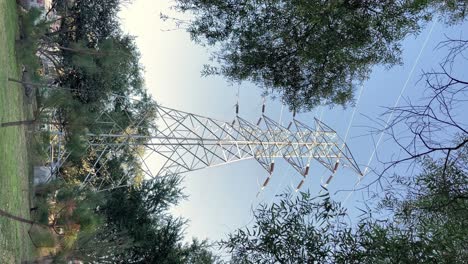 tall high power electric lines surrounded by forest, view from bellow