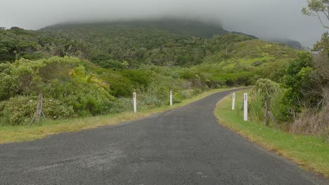 tomando el camino derecho hacia mt gower pasando una señal de tráfico de lord howe woodhen