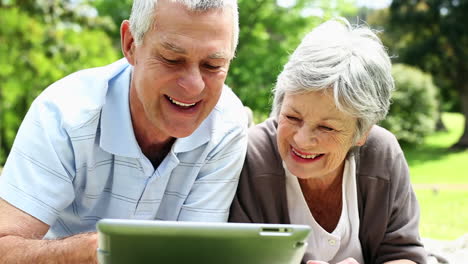 happy senior couple relaxing in the park using tablet