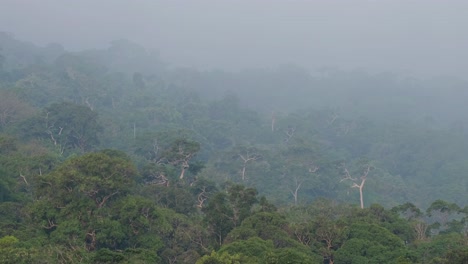 Walddach-Des-Khao-Yai-Nationalparks-Mit-Einem-Nebligen-Himmel,-Herausgezoomt,-Wie-In-Thailand-Gefunden