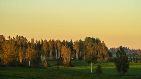 timelapse shot along the grasslands on the outskirts of green forest at sunset during evening time