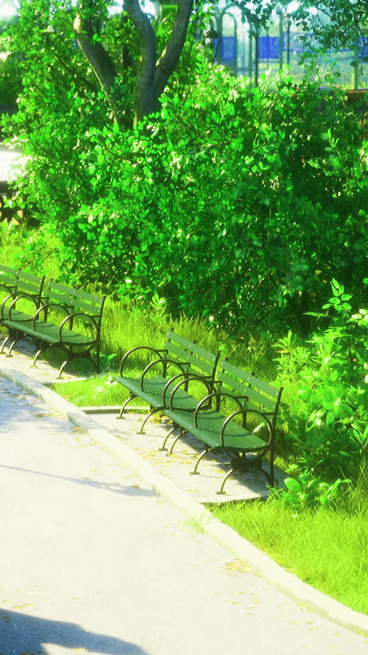 Lush green park with benches under clear blue sky on a sunny day ...