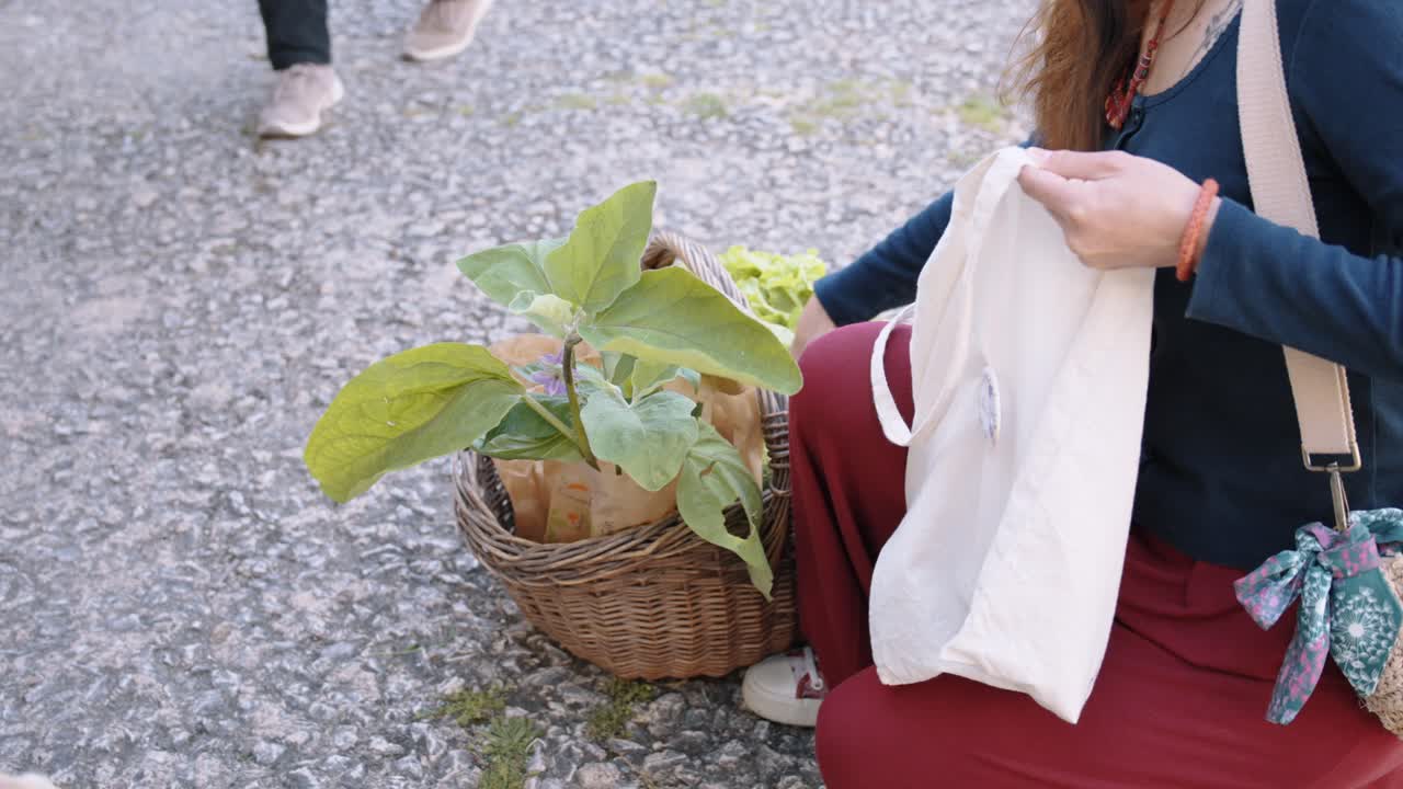 Green lifestyle, plant shopping, joy, earth tones