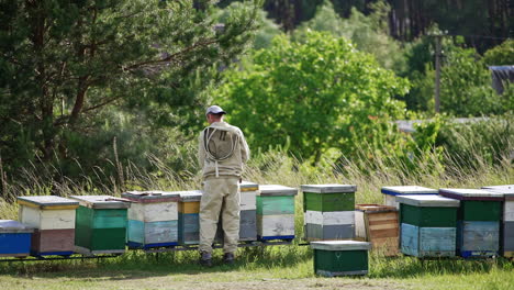 male apiarist standing near the hives at bee farm. little rural apiary in the nature. beekeeper opens the lid of the hive to check it.