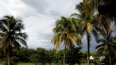 Lapso-De-Tiempo-De-Las-Nubes-Rodando-Y-Pasando-Por-Encima-De-Tres-Palmeras