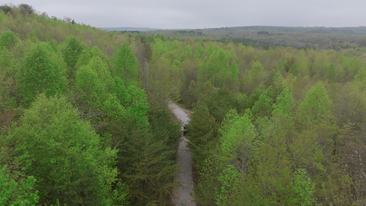 동 테네시의 봄에 길에서 나무들 사이를 천천히 운전하는 검은 트럭의 정적 항공 영상