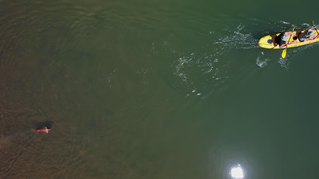 Aerial shot of couple paddling yellow canoe left to right across calm pond with dog swimming behind