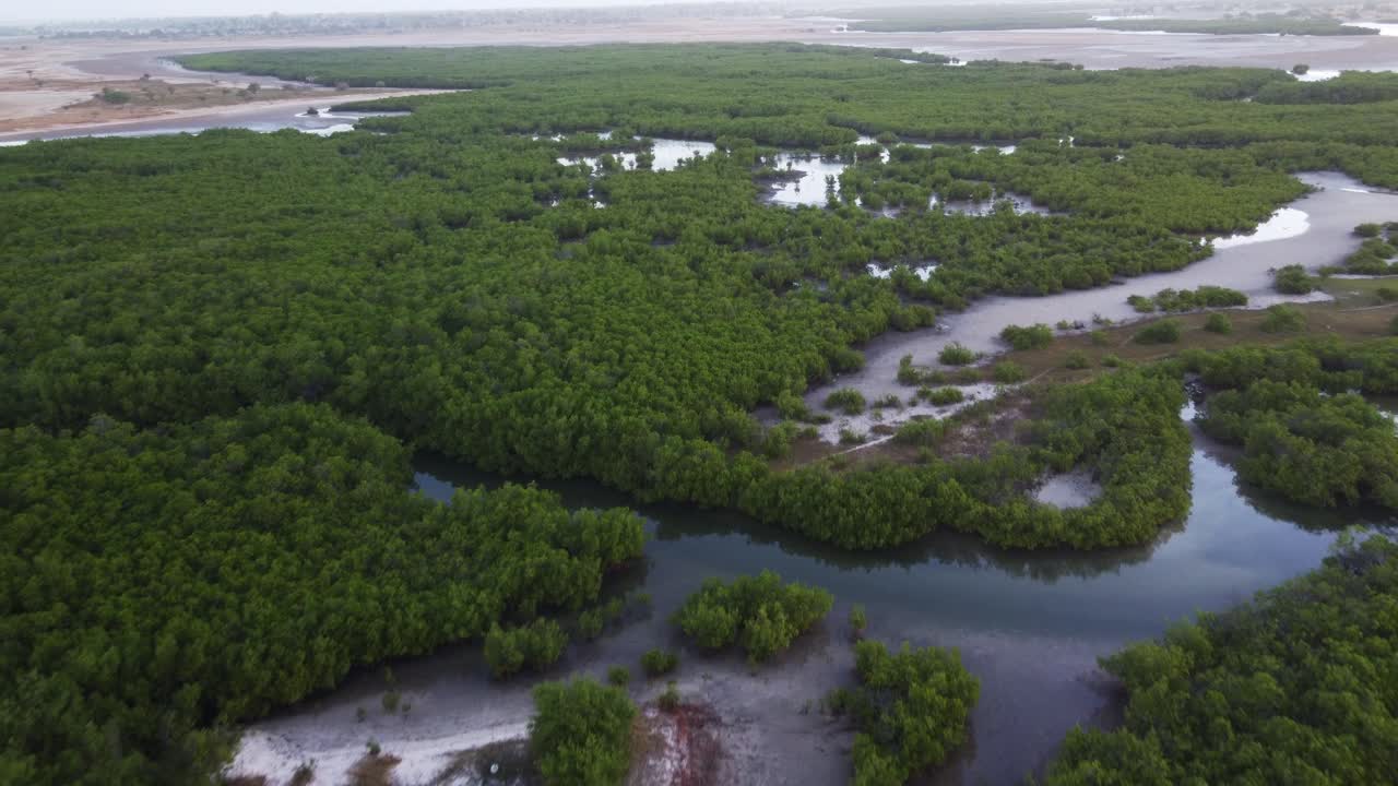 Salty lagoons and flooded coastal mangroves of Senegal. Aerial