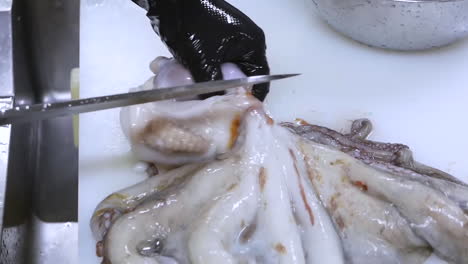 un chef limpia pulpo. mariscos crudos